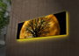 Wallity Lienzo Decorativo Iluminado con LEDs 30x90 cm Multicolor